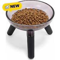 Petco Raised Glass Dog Bowl with Plastic Stand