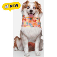 Canada Pooch Pick Me Poncho for Dogs