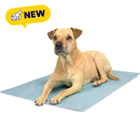 Petco Cooling Pad for Dogs
