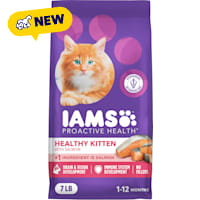 Iams ProActive Health Salmon Recipe Dry Kitten Food