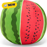 Petco Melon Ball Plush Dog Toy