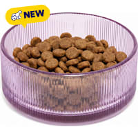 Petco Purple Ribbed Glass Dog Bowl