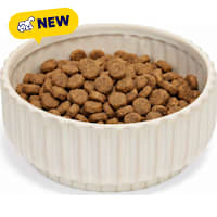 Petco Cream Ribbed Ceramic Dog Bowl