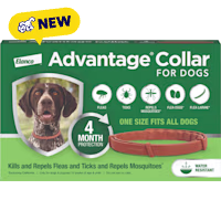 Advantage 4-Month Protection Flea and Tick Collar for Dogs and Puppies
