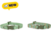 Petco Green Printed Dog Collar Set