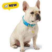 Petco Ducky Dog Collar