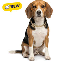 Petco Chain Training Dog Collar