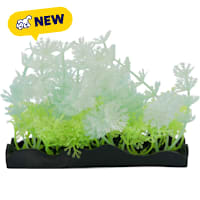 Penn Plax Tide & Treasure Glow Plants PDQ