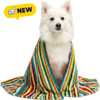 Petco Color Striped Pet Throw Blanket