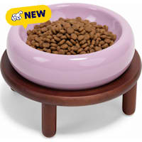 Petco Elevated Purple Ceramic Dog Bowl and Wooden Stand