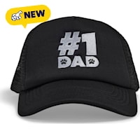 Petco #1 Dad Adult Baseball Hat