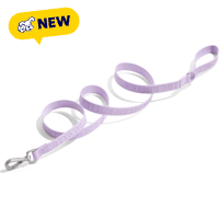 Wild One Lilac Lightweight Nylon Dog Leash