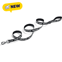 Wild One Black Lightweight Nylon Dog Leash