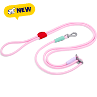 Wild One Spruce Hands - Free Adjustable Rope Dog Leash
