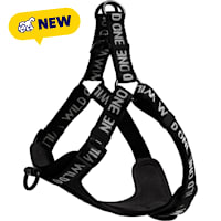 Wild One Black Colorblock Step-In Dog Harness
