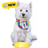 FIFA WC26 PawSwag Dog Bandana