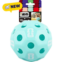 FIFA World Cup 2026 Blue EZ Grip N' Fetch Dog Toys
