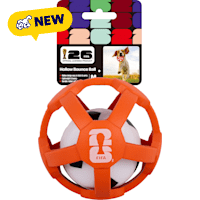 FIFA World Cup 2026 Orange Hollow Bounce Ball for Dogs