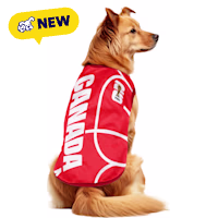 FIFA WC26 CANADA National Team Dog T Shirt