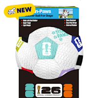 FIFA World Cup 2026 Titan Paws Dog Toys