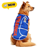 FIFA WC26 FRANCE National Team Dog T Shirt