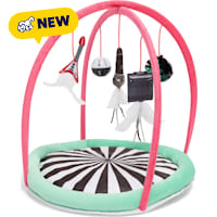 Petco Interactive Playmat with Dangling Toys for Cats