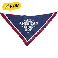 Petco All-American Good Boy Dog Bandana