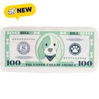 Petco Hundred Dollar Bill Flattie Dog Toy