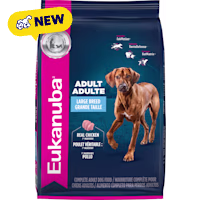 Eukanuba Adult Large Breed Dry Dog Food