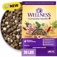 Wellness Complete Health+ Chicken & Oatmeal Recipe with Freeze-Dried Wellbites Adult Dry Dog Food