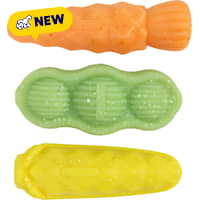 Outward Hound Durable Pupstages Flex-Force Veggie Chew Dog Toys