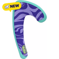 Outward Hound FlyFetch Boomerang Dog Toys