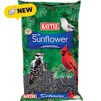 Kaytee Wild Bird Black Oil Sunflower Food