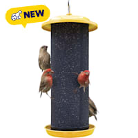 Nature's Way Easy to Clean and Fill with Easy-Cling Mesh, Sunglow Metal Mesh Thistle Bird Feeder