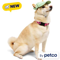 YOULY Star & Moon Pet Hat