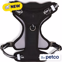 Reddy Everyday Dog Harness