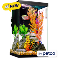 Imagitarium Column Glass Aquarium Kit with Lighting, Filtration & Accessories