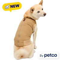 Reddy Quilted Bomber Jacket for Dogs
