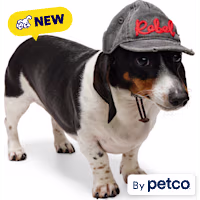 Reddy Rebel Embroidered Pet Hat