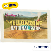 YOULY Yellow Zone National Park Travel Postcard Plush Dog Toy