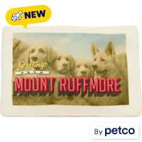 YOULY Mount Ruffmore Travel Postcard Plush Dog Toy