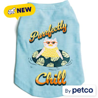 YOULY Purrfectly Chill Cat T-Shirt