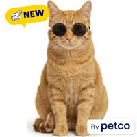 YOULY Summer Prop Cat Sunglasses