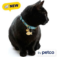 YOULY Tropical Cat Collar