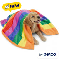 EveryYay Pride Rainbow Pet Throw
