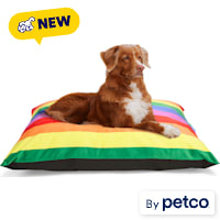 EveryYay Pride Rainbow Lounger Dog Bed