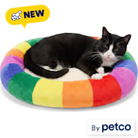 EveryYay Pride Rectangle Mat Cat Bed