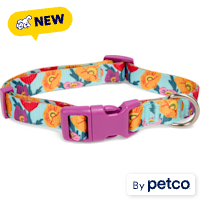 YOULY Multicolor Poppy Dog Collar