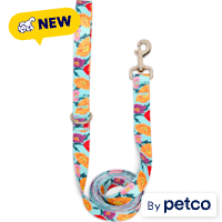 YOULY Multicolor Poppy Dog Leash