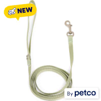 YOULY Cat Leash